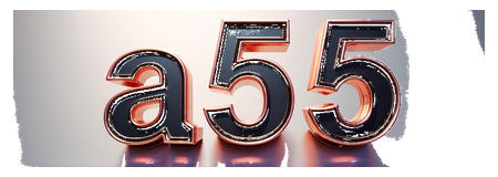 a55 logo